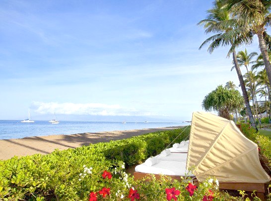 Hyatt Cabana